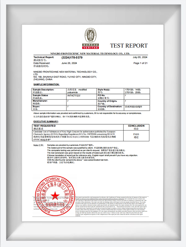 Relatório de teste BV